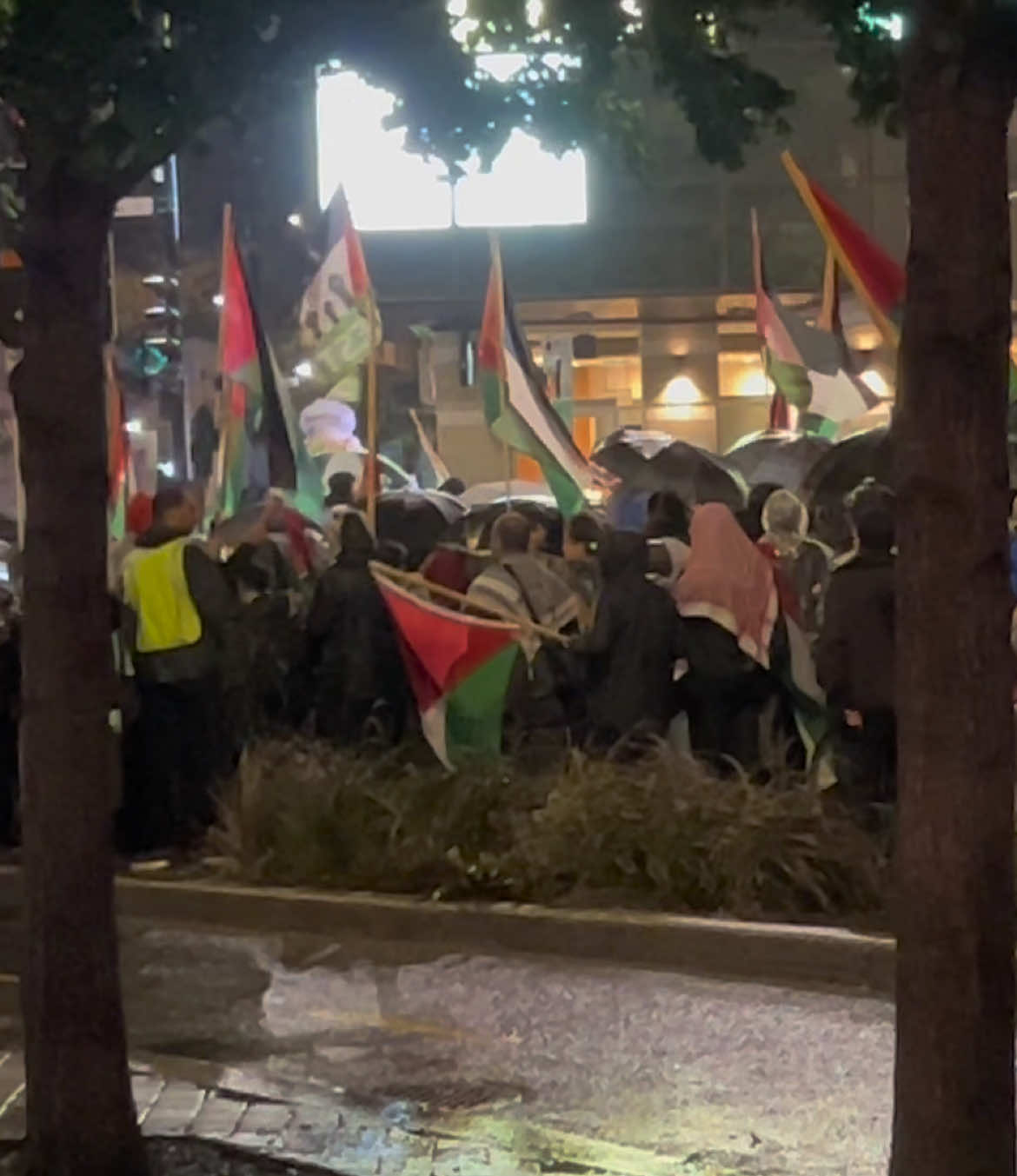 October 7th pro-Palestine protest in Montreal. #montreal #palestine #gazagenocide💔 #gazaunderattack❤️🇵🇸 #israel 