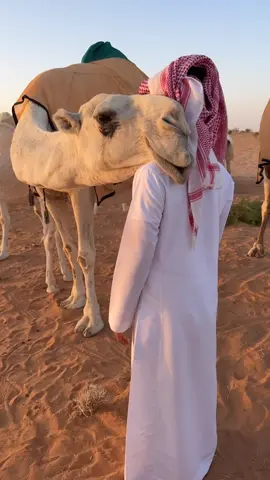 #اكسبلور #البدو #شديد #فولو 