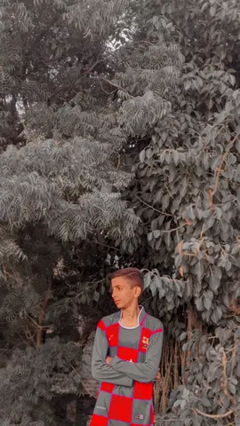 ###for 