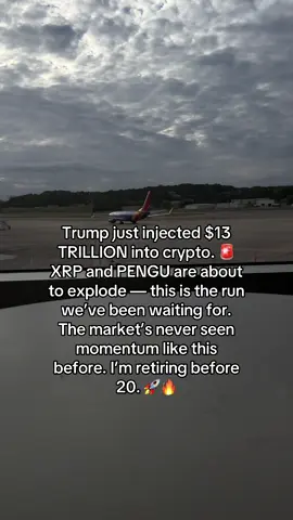 Crypto bull run! 🙌 #crypto #pengu #crypto #memecoins 