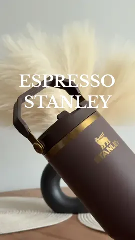 okay i rlyyy didn’t need another stanley cup but could not resist this espresso gold color! it’s literally the perfect neutral undertone shade of brown 🥰🤎 promise this is the last one @Stanley Brand #StanleyCup #espresso #stanleytumbler #stanleyiceflow 