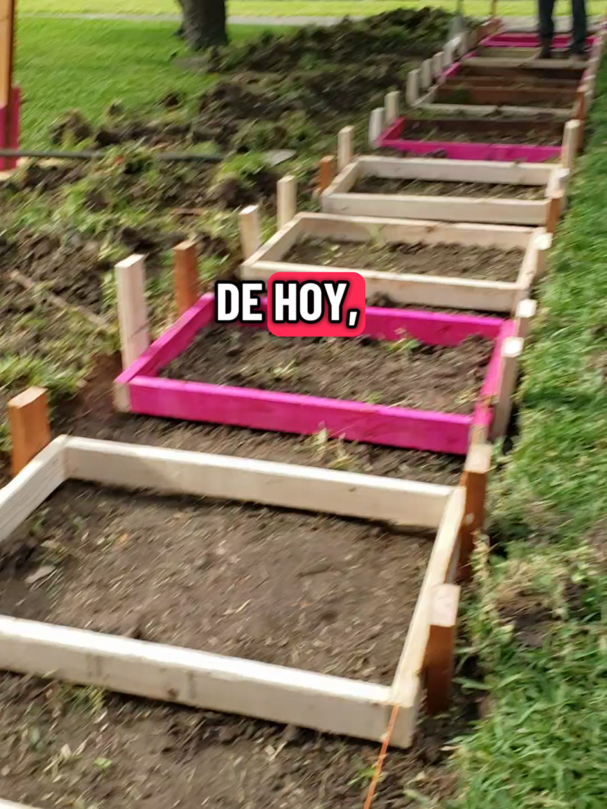 #LIVEIncentiveProgram #LIVEwithlowfollowers #PaidPartnership 