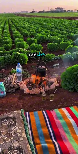 نحن جيل الطيبين جيل الستينات جيل السبعينات جيل الثمانينيات #حكم #خواطر #عبارات #اقتباسات #اشرف_عيسى 