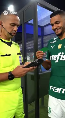 Após uma análise minuciosa… Pênalti para o Palmeiras😂 #ia #meme #palmeiras #arbitragembrasileira #arbitro 