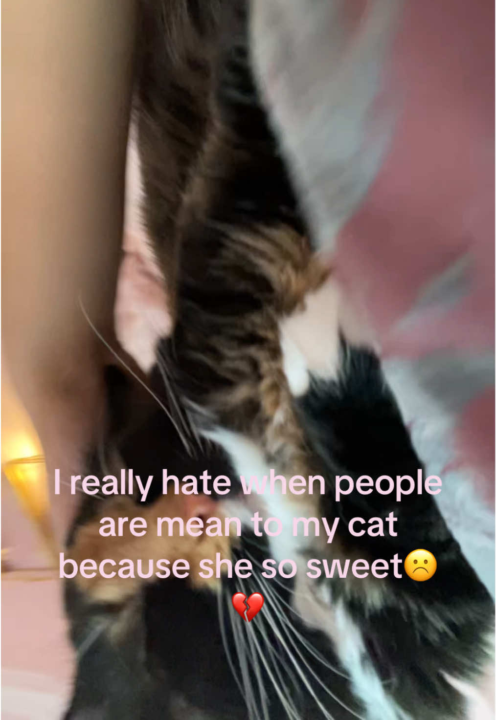 #meow #kitty #cat #fortnut #67 