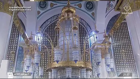 #قناة_السنة_النبوية #صلوا_على_رسول_الله #احاديث #اجر_لي_ولكم_ولوالدينا_وللمسلمين #القدر 