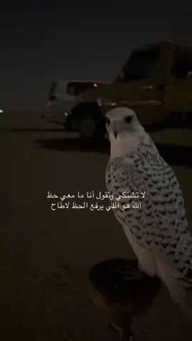 #fyp #شعر #trending 