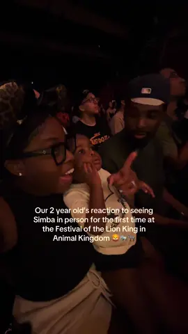 Our 2 year is obsessed with the Lion King so being able to take her to the Festival of the Lion King show at Animal Kingdom was a memory I’ll never forget! Watching her eyes light up when she saw Simba made my heart so warm 🥹  #AnimalKingdom #FestivalofTheLionKing #LionKing #DisneyWorld #toddlermom 