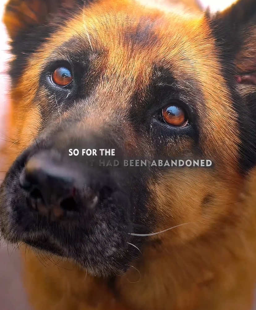 If you don't love me, please don't hurt me.#fly #flypシ #movie #foryou #foryoupage 