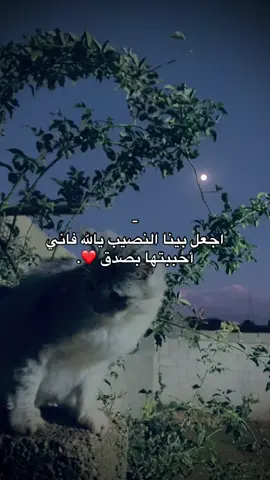 92❤️#foryoupage #اقتباسات_عبارات_ 
