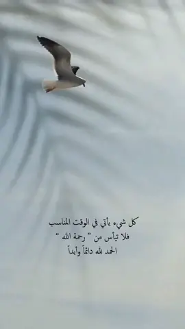 #كلام_من_القلب #🦋 #❤️ #خواطر #يارب 