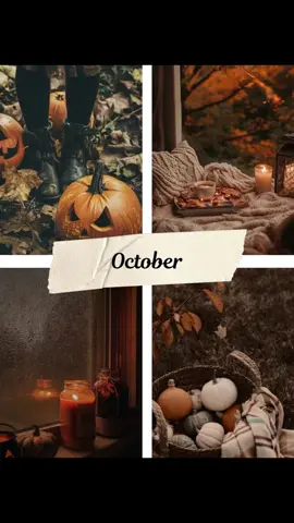 October is where spooky meets cozy, crisp air, glowing candles, haunted nights, and mugs of something warm in hand. Whether you’re decorating pumpkins, sipping cider under twinkle lights, or getting your home Halloween-ready, this is the month to slow down and soak in the magic. 🎃 From moody fall décor to eerie elegance, we’re mixing comfort and chills, like cozy blankets, amber lighting, cinnamon scents, ghostly charm, and vintage Halloween nostalgia. It’s sweater weather with a side of spellbinding. 🍁👻 #octobervibes #halloween #fallaesthetic #spookyseason        #creatorsearchinsights 