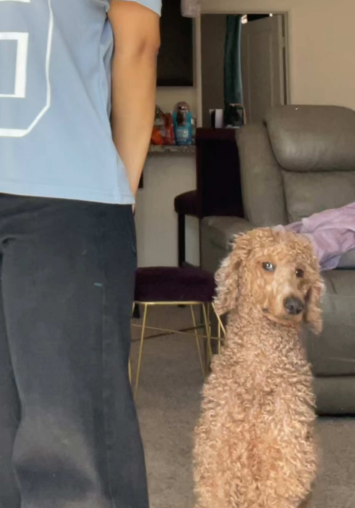 daisy likes to watch me dance