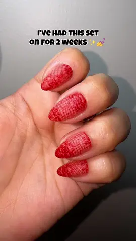 Lace & velvet on my nails for less than $20? Yes please 😍✨ #glamnetic #durablepressonnails #pressons #tiktokshopcreatorpicks #fallnails 