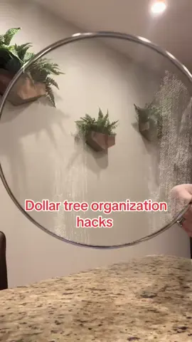 #dollartree #dollartreehacks #organizedhome #organizationhacks 