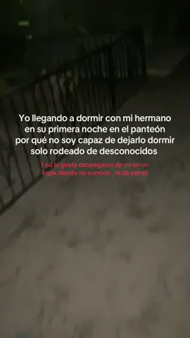 fuimos uno solo 🕊️#hermanos #dolor #cementerio #pyf 