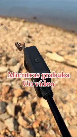 Mientras grababa un vídeo #butterfly 