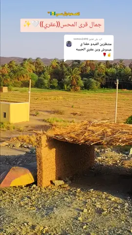 الرد على @samoo2490 #حلفا_دناقلا_محس💚💚 #حلفا_سكوت_محس_دنقلا💙💙 #الشمالية_محس_ودناقله_شوايقة_حلفا 