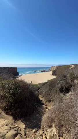 definitely coming back to Santa Cruz, tide pooling is one of my favorite hobbies, especially in California #santacruz #beach #tidepooling #tidepools #tuesday 