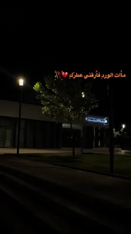 #مات_الورد_فاركني_عطره🥀💔مرتضى #🥀🥀🥀 #דיכאון_כבד💔 #לוד #ti̇ktok 