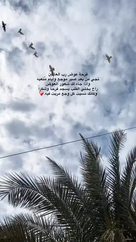 ❤️‍🩹 #عوض_الله_جميل❤️ #اللهم_صل_وسلم_على_نبينا_محمد #اللهم_لك_الحمد_ولك_الشكر #الحمدالله_علی_کل_حال❤ #الحمدلله_دائماً_وابداً❤️ 