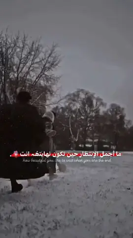 #انته، تتدري-ايش_غلاوتك، ـعندي❤️‍🩹