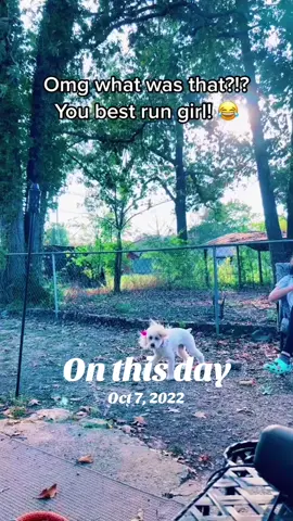 #onthisday 