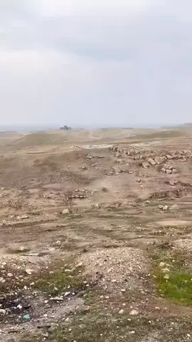 إحذر الخراف من الأمام، والخيول من الخلف، والبشر من جميع الجهات