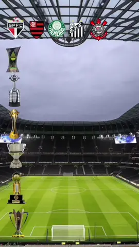 Sao Paulo Fc vs Flamengo vs Palmeiras vs Santos Fc vs Corinthians sc trophées | qui est le plus grand club du Brésil ? #saopaulo #flamengo #palmeiras #santosfc #footballclub 