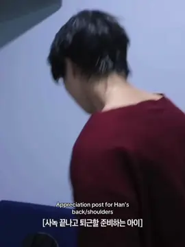 Lookin like a dorito #skz #straykids #HAN 