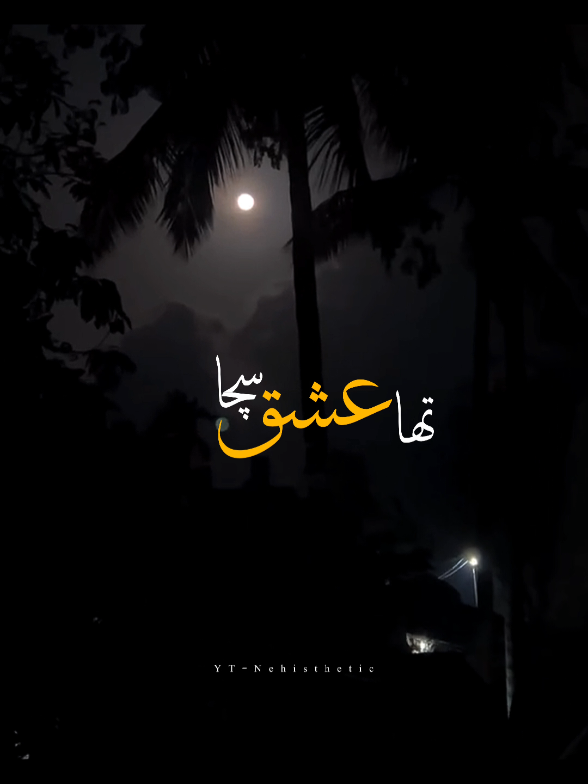 ishq tha sacha magr tm be jan the kash kbhi tu samjhta mujh ♥️🪽 #capcut #foryou #viral #nehisthethic #lyrics 