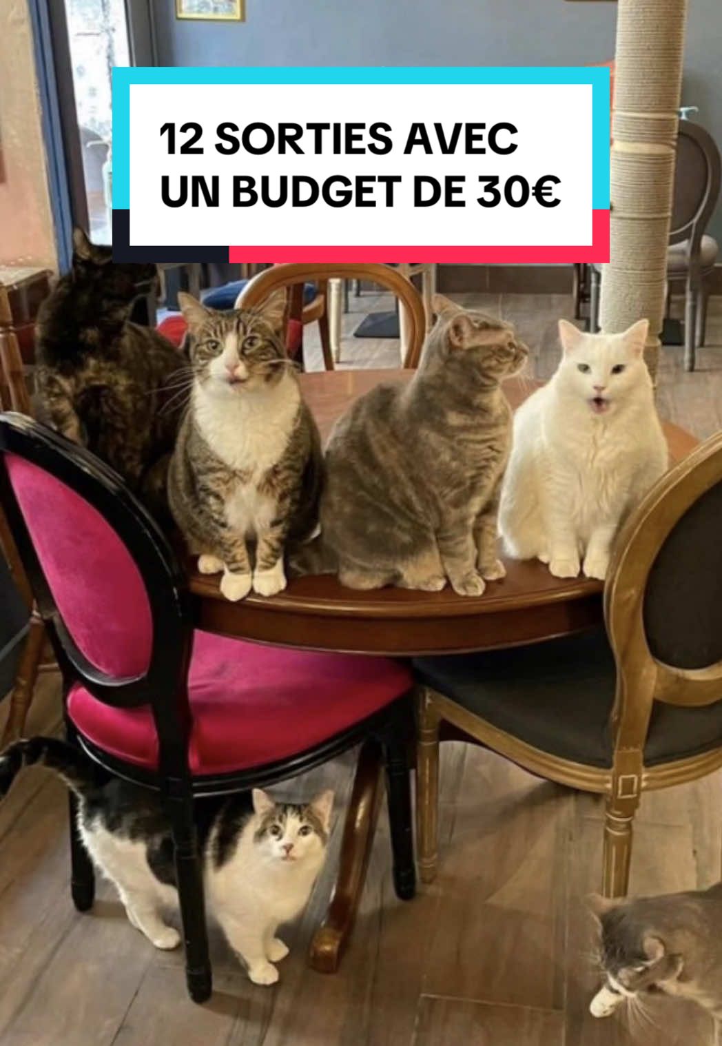 12 sorties avec un budget de 30€ à Paris 🧡 🎁 Tu as -10% offert avec le code BONNESADRESSES10 pour : - TOI, Le test de personnalité immersif - Destination Lune - Ballon Generali de Paris - La Cité Immersive des Fables - Refill Club & -15% pour PUCKS avec le code BONNESADRESSES15 🎁 #paris #bonnesadressesparis #sortiesparis #quefaireaparis #activitesparis #dateparis #whattodoinparis 