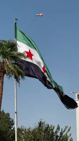 دمشق📍#سوريا🇸🇾 #syria #الشعب_الصيني_ماله_حل😂😂 #الكويت🇰🇼 #fyp 