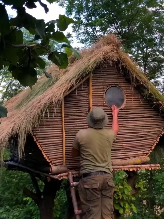 Building  Epic Bushcraft Shelters for Surviving in the Wild #creatorsearchinsights #bushcraftsurvival #camping #shelter #shelter 
