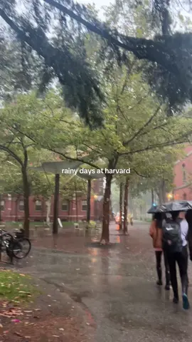 my favorite walk to class🤍 #rainyday #harvard #fairuz #fyp #college 