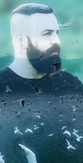 #CapCut #اقتباسات_عبارات_خواطر #اقوال_وحكم_الحياة #مقولات_جبل_شيخ_الجبل #creatorsearchinsights 