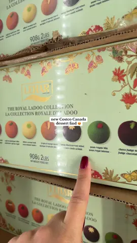 has anyone had these before? I’m excited to try 😄 #costcocanada #costcofind #laddu #costcofinds 