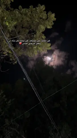 #قلقيلية_الشامخة🦅👑  غير مكانك، غير محيطك، غير بيئتك لكن إيّاك أن تتغير لترضي الناس ❤️‍🩹.