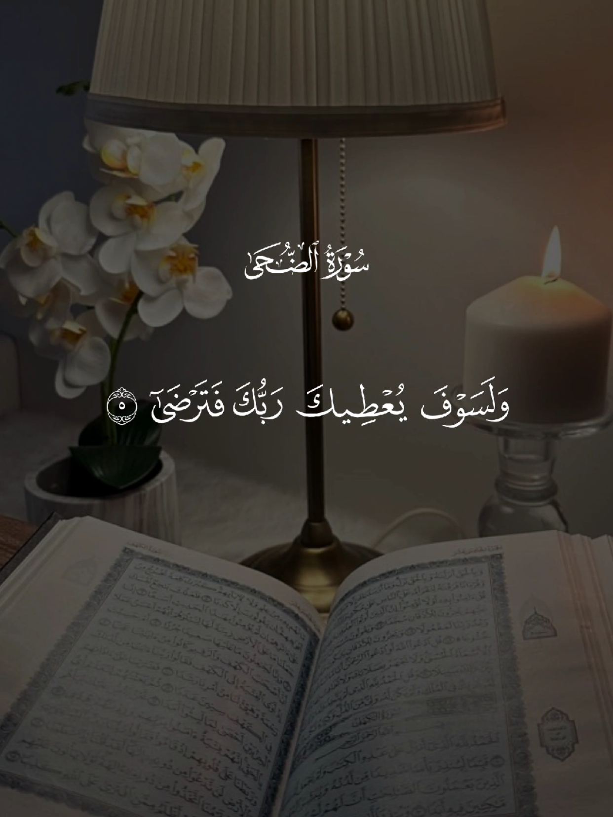 #قران #quran #قران_كريم #Allah #اللهم_صلي_على_نبينا_محمد 