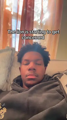 My life is falling apart #malikthecreatorr #thelion #lion #concern #life 