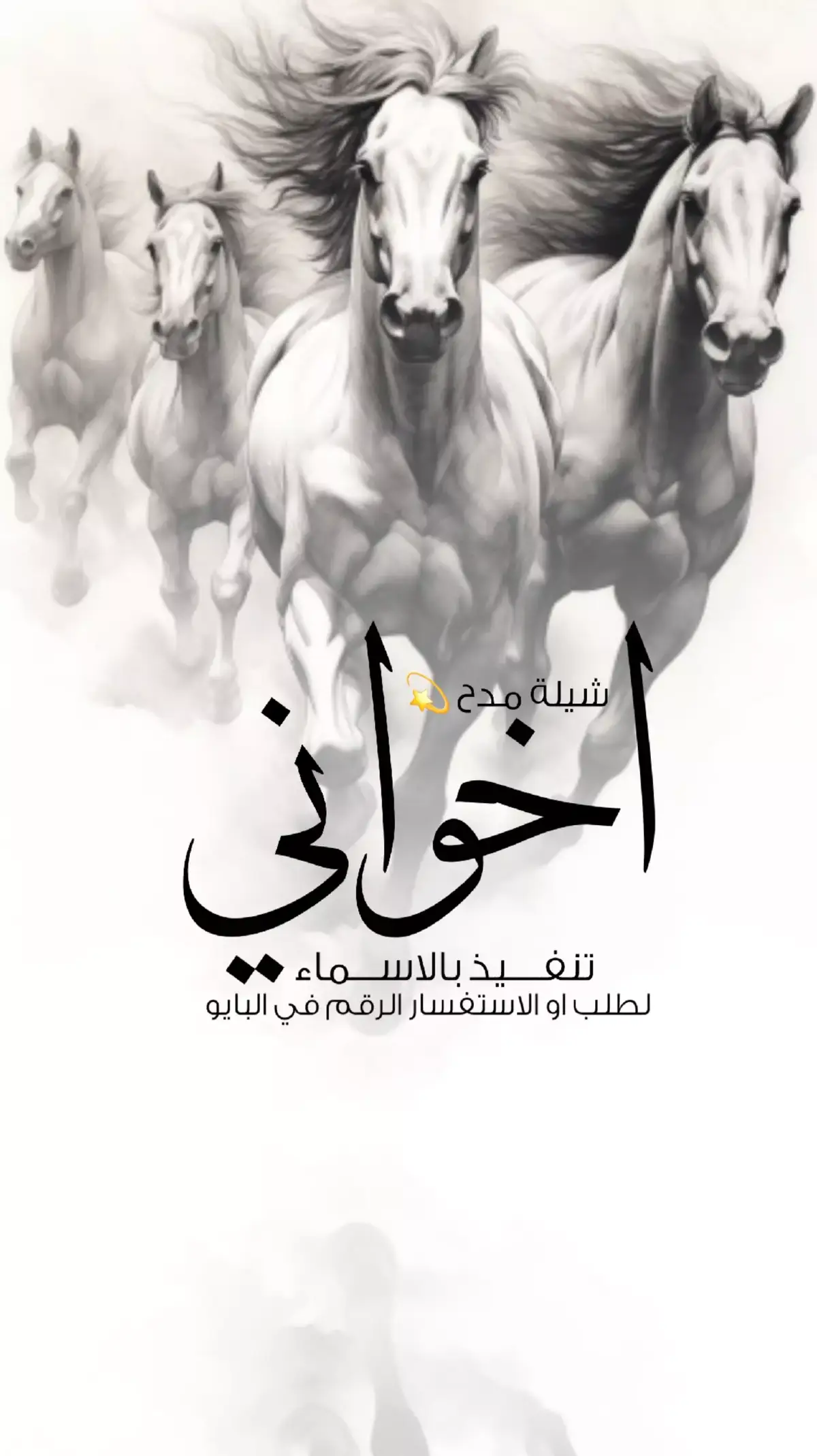 #شيلة_مدح_اخواني #شيلة_ترحيب_غالي  #ارحبو_ثم_ارحبو #شيلات_تراحيب_جديد_طرب  #شيلات_ترحيبية