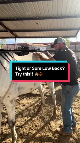 Tight or sore low back! Try this!! The hula is a great way to loosen up tight muscles in the pelvis and low to mid back! Your horse will love it! Grab your free stretch tutorial at 👉http://sporthorsechiropractic.com/freebie #sporthorsechiropractic 