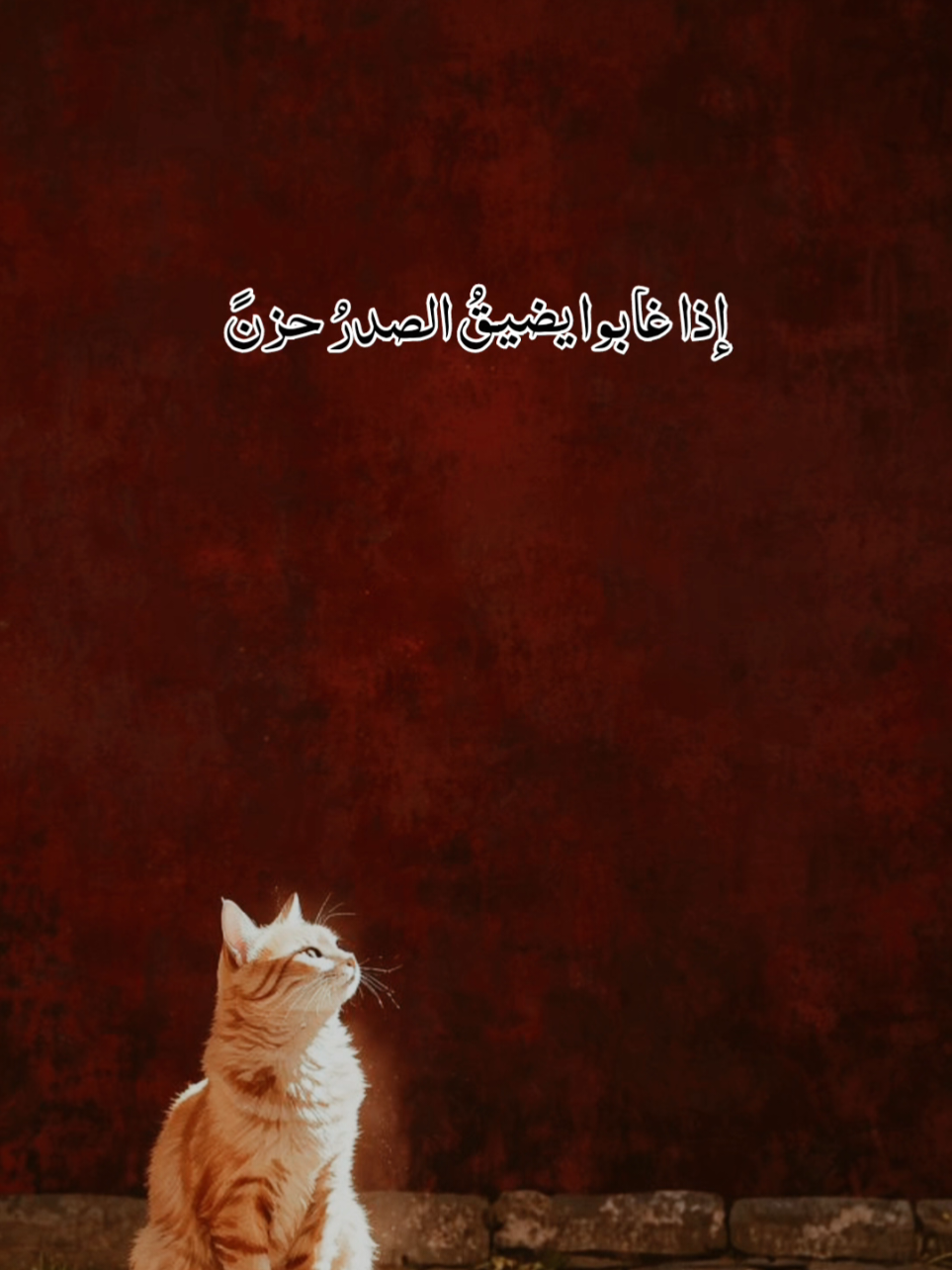 إذا غابوا يضيقُ الصدرُ حزنً🥹 أحباب القلب😔#مؤثر #foryoupage #أكسبلور #لايك__explore___ #viraltiktok @🌹بّےـسًےـمِےـة أمِےـلَ🌹 