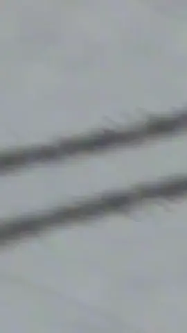 احن نمشو في الدوني ابرحتان ونعمل الهون الشاعر محمد ايمن 