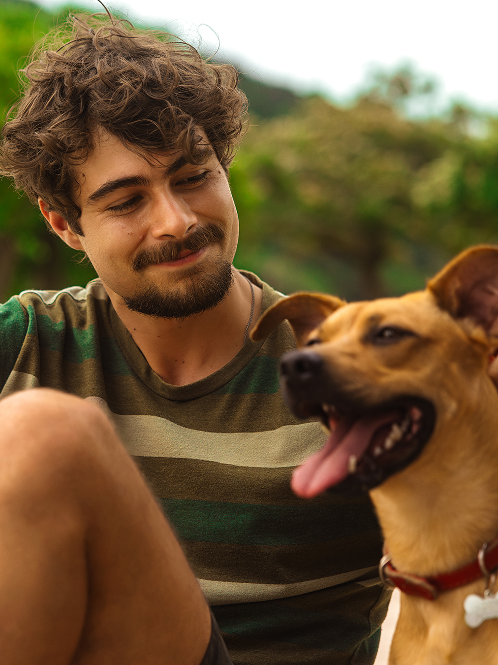 Tras un diagnóstico que le cambia la vida, un chef encuentra esperanza con la ayuda de un peludo amigo. ❤️  #Caramelo ya está disponible en Netflix. #Perritos #Perros #Mascotas #AdoptaNoCompres #AmigosPeludos #DiegoFreitas #Brasil #Peliculas #Netflix #paratiiiiiiiiiiiiiiiiiiiiiiiiiiiiiii