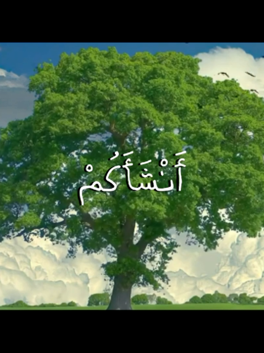 { وَهُوَ الَّذِي أَنْشَأَكُمْ مِنْ نَفْسٍ وَاحِدَةٍ فَمُسْتَقَرٌّ وَمُسْتَوْدَعٌ قَدْ فَصَّلْنَا الْآيَاتِ لِقَوْمٍ يَفْقَهُونَ } [سُورَةُ الأَنْعَامِ: ٩٨] القرئ: علي جابر  . . . #قران #quran #قران_كريم #علي_جابر #علي_جابر_رحمه_الله 