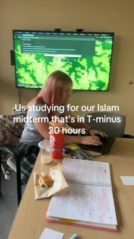 Guys I know Sunnis don’t think Ali is bad I wrote it to remember the difference 🙏 all love! ☮️✌️ #midterms #history 