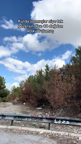 Alem Ayık!! #keşfet #fyp 