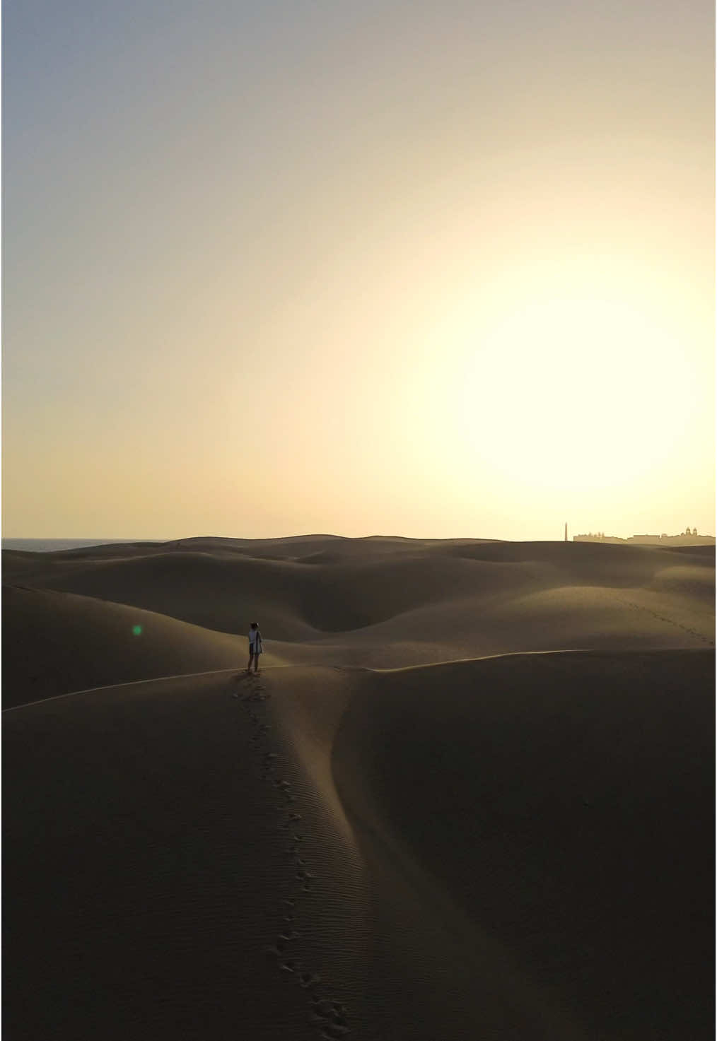 Qui savait qu’il y a des vers géants aux Canaries ? 🐛🇮🇨 #dune 