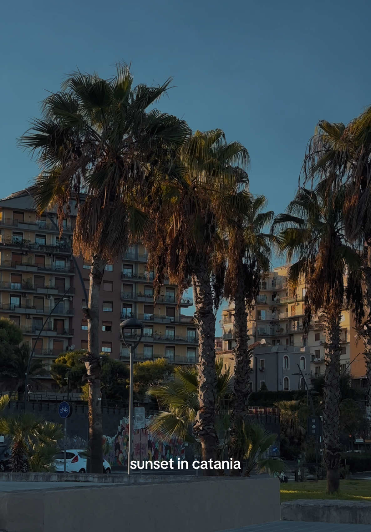 catania glowing under the softest light <3 #catania #sicily #italy #aestheticvideo #sunsetvibes 